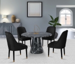 Picture of Velvet Dining Chair