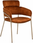 Picture of Brushed Brass Finish Iron Metal Frame Velvet Dining Chair