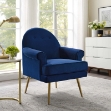 Picture of Velvet Chair