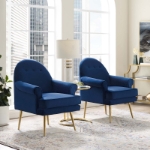 Picture of  Velvet Chair