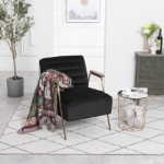 Picture of Velvet Accent Chair