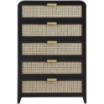 Picture of 32"L x 48"H White/Black Finish Chest