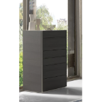 Picture of 23.6"W x 42.1"H Wood veneers and natural 6 Drawer Chest