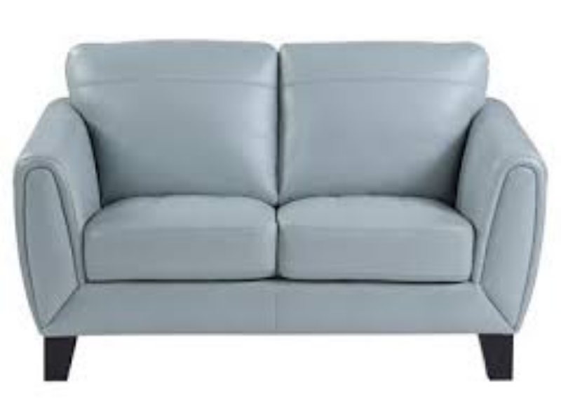 Picture of Genuine leather Aqua Loveseat