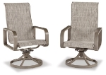 Picture of Outdoor Swivel Chair