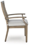 Picture of Outdoor Arm Chair With Cushion