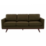 Picture of Wood Base Leather Full Size Green Sofa