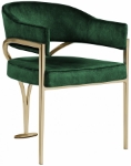 Picture of Brushed Brass Finish Iron Metal Frame Velvet Dining Chair