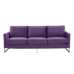 Picture of Gold Frame Velvet Full Size Sofa