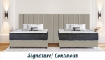 Picture of Continuous/Center Wall Panel Custom Beds — starting at $1209