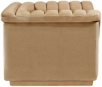 Picture of Velvet Chair