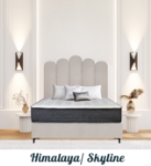 Picture of Upholstered Himalaya Bed