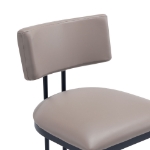 Picture of Taupe Leather with a Metal Frame Dining Chair