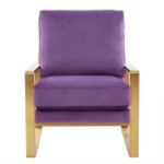 Picture of Beige, Pink, Dark Grey, Light Grey, Orange, Purple  Velvet Gold/Silver Frame Chair