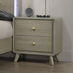 Picture of Contemporary Gray Finish Nightstand